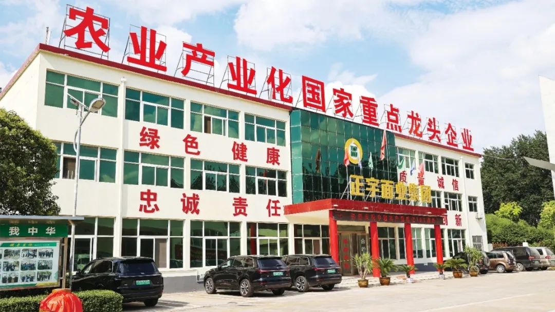 喜報！安徽正宇面業(yè)入選《...