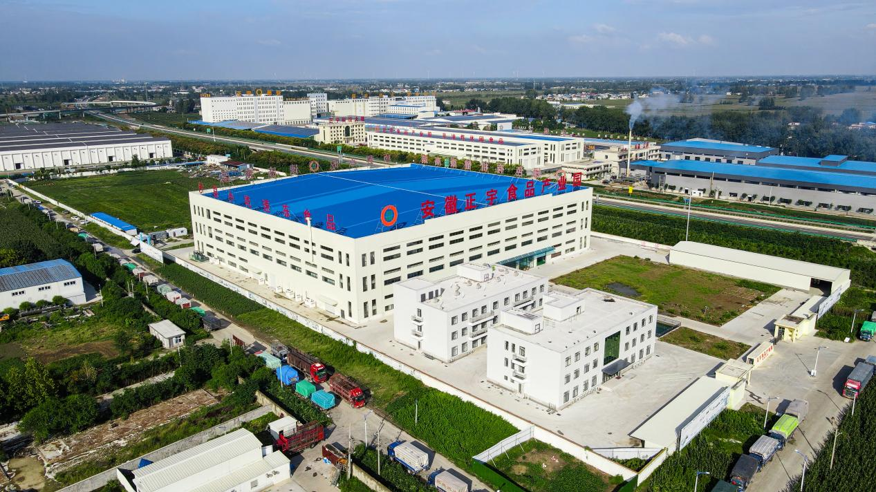 &ldquo;媒&rdquo;好正宇丨&ldquo;渦陽之窗...